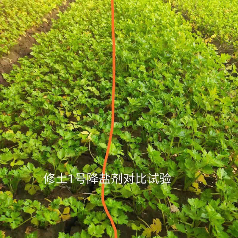 修土1號(hào)降鹽劑對(duì)比實(shí)驗(yàn)