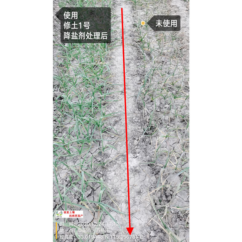 修土1號(hào)降鹽劑使用處理