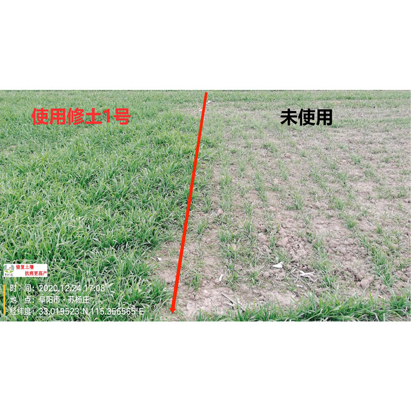 修土1號(hào)效果